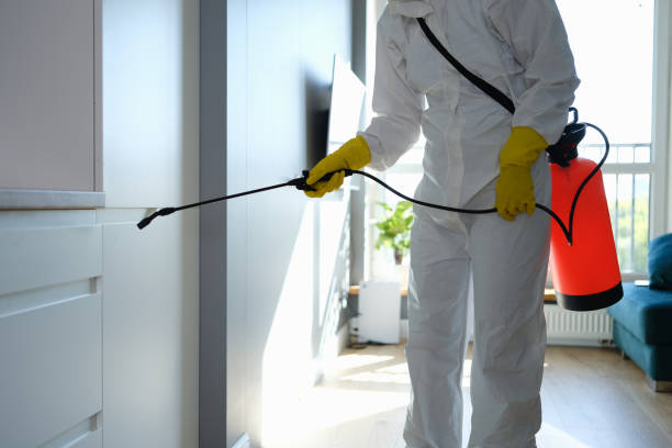 Best Mold Remediation for Specific Building Types in Ptland, OR