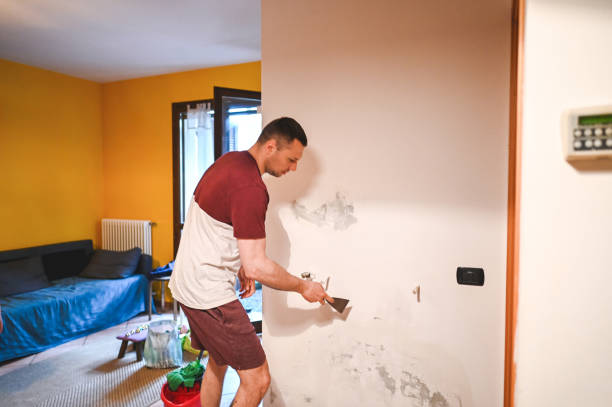 Best Post-Flood Mold Remediation in Ptland, OR